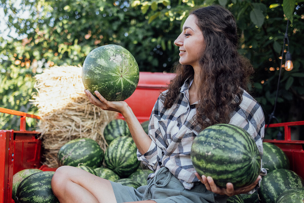 Slik dyrker du vannmelon i et drivhus