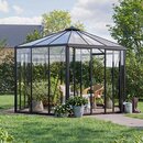 Luxvindu Hexagon Drivhus